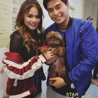 #MclisseDreamTeam(@TheTypistInMe) 's Twitter Profile Photo