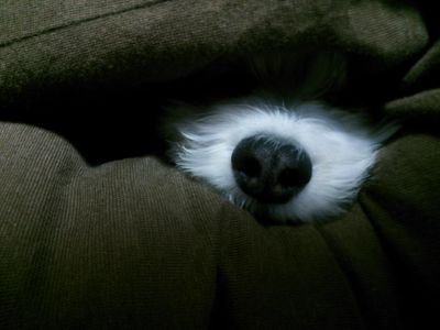 sleepwellma's profile picture. -80s- TM NETWORK,B'z,FOD,Soft Ballet,BUCK-TICK,Grass Valley,UP-BEAT,M-AGE
-90s- TMGE,TYM,AIR,MAD
-00s- NIN,MM,APC,KORN,TOOL,Deftones,Slipknot,SOAD,FINCH,FFAF