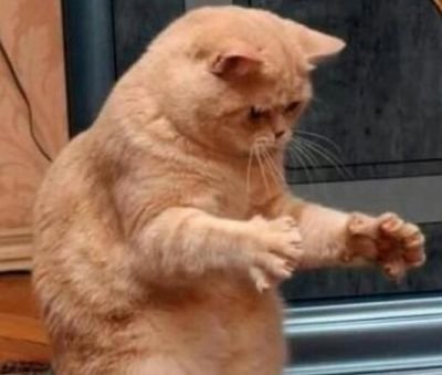 hijoDLCH's profile picture. 