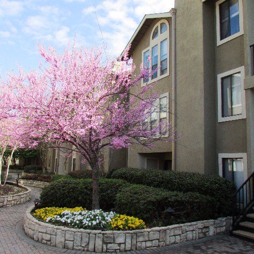 Dunwoody Courtyards Apartments |770.551.9502 | dunwoodycourtyards@lincolnapts.com