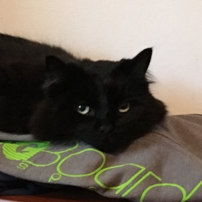 kgwaters7's profile picture. 