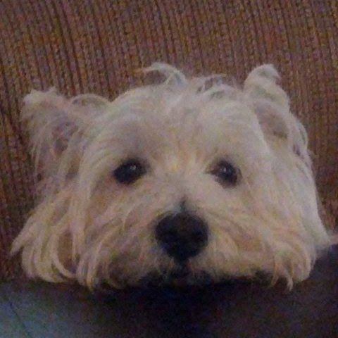 glendpa's profile picture. 