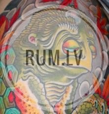 RUMDOTLV Profile Picture