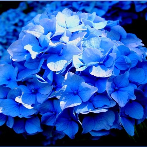 Mama_An_Alre's profile picture. Maman bretonne de Cocotte (16 ans) de Doudou (14 ans) et de Nénette (4 ans).