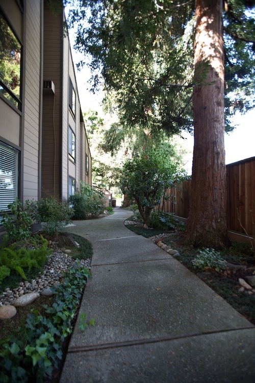 Bright condo, shaded by majestic redwoods on quiet cul-de-sac. Ready to move! Impressive 2-story windowscape w/ 3 sliding glass doors overlooks patio. $629k