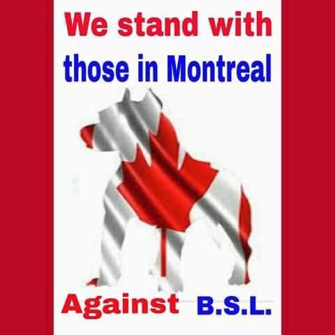 Middle aged, middle class taxpayer fighting to #EndBSL.  Full rights for law-abiding dog owners. My opinions are all my own.