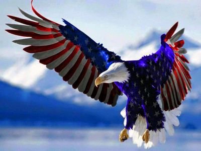 CIsB80's profile picture. 