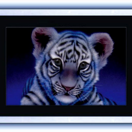 BigBeautFashion's profile picture. Curvaceous women deserve to look as sexy and feminine as they feel. Beautiful plus size fashions.