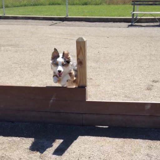 Off leash dog park in #Warrensburg, MO where humans and canines can play, honoring Man's Best Friend, Old Drum 🐶🐾