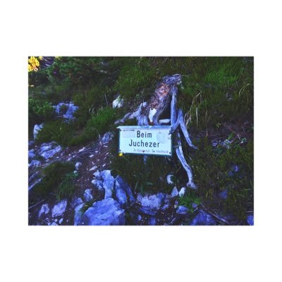 immi0815's profile picture. lol