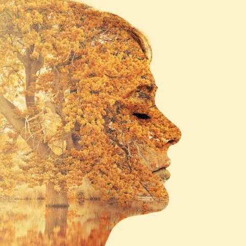 lookwithinapp's profile picture. Self-inquiry app  ~ follow to join early tester program