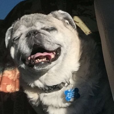 jennysutton's profile picture. 