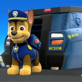 Hey I'm Chase I am a loyal German Shepherd pup to Ryder. My role is looking after Adventure Bay with the Paw Patrol. Mate: #single