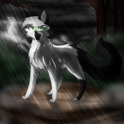 ❝I've been there...❞ A handsome, young black and white tomcat with forest green eyes and a distinctive black tail. 《Tom→18moons→Single→Kits:Listed》