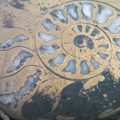 BuyFossils's profile picture. We import and retail Moroccan #fossils, and other #gems and #minerals from around the world. You can find us online: