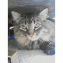 Lupe Thomas - @Lupita1051 - Twitter