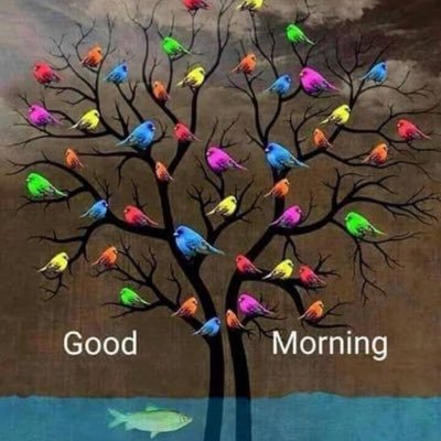 banjarbaru_of's profile picture. menjadi banjarbaru yg metropolis.......