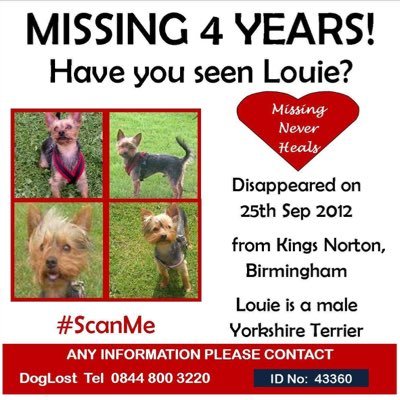 Missing Louie