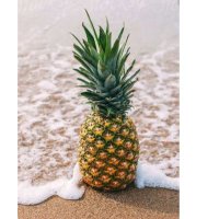 Pineapple Sands (@pineapplesands) 's Twitter Profile