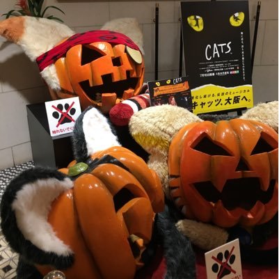 AOL_Yalex's profile picture. 28歳