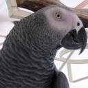 Lori Hooker - @Boudreauxsmom - Twitter