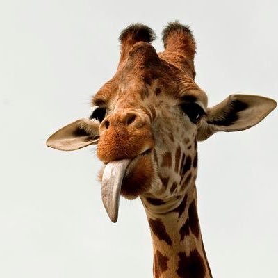 kachikatili's profile picture. a peace seeker ☮