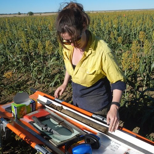Soil mapping nerd, digging holes and taking samples. Not here anymore, but basically everywhere else.