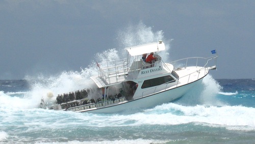 IanFox's profile picture. 