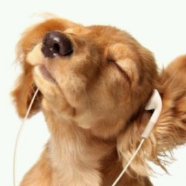 fukunaga_kozo's profile picture. 1970年、1980年台の歌謡曲がいいですね。