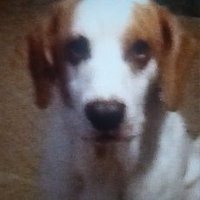 sjrichmond2 (@sjrichmond2) 's Twitter Profile