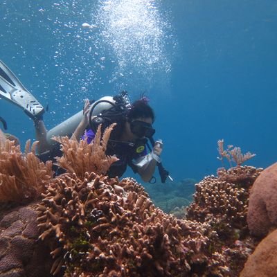 Ocean lover. Aspiring Marine Conservationist. Interested in #coralreefecology. #coralspawning enthusiast from #Philippines. Soft #coral reproduction in #Japan