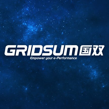 Gridsum Profile