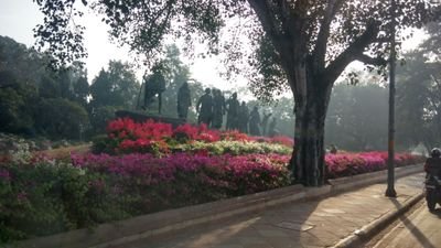 imabhaygulati's profile picture. 🇮🇳