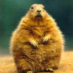 Backpaddle85's profile picture. Lokführer/Uneinsichtig/Große Klappe/Müde von der Gesellschaft