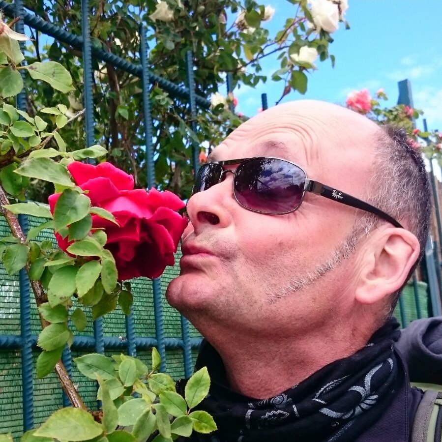 Librarian at LIT, EU projects leader. Likes nice people and places. Dislikes the opposite. And BTW opinions are my own.