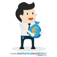MonSalaireDansLaData (@salairedata) 's Twitter Profile