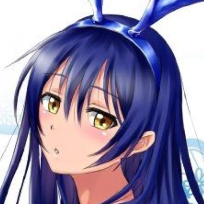 園田海未@穂乃きち化 中さんのプロフィール画像