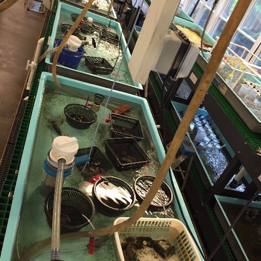 Bowdoin's Marine Lab situated on Harpswell Sound in Casco Bay.