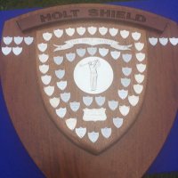 Holt Shield Golf (@holtshield) 's Twitter Profile