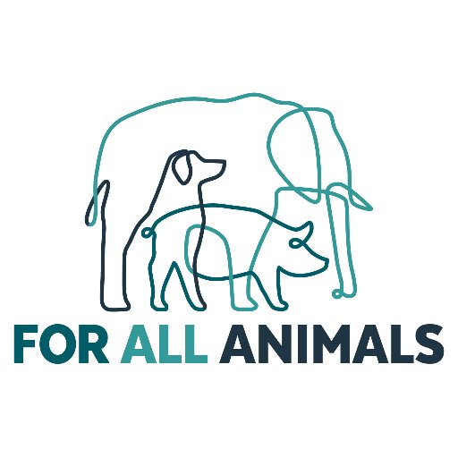 A 501c3 nonprofit organization dedicated to improving animals' lives and providing them the protection they deserve.
https://t.co/26OkgEp9ib