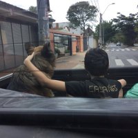 Jose Fernando Casañas Levi (@casanaslevi) 's Twitter Profile