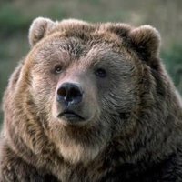 De Wet (@bigetroudeou) 's Twitter Profile