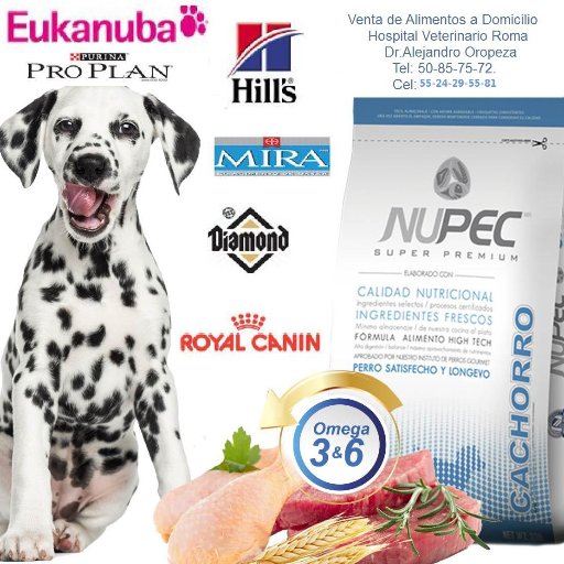 Venta de Alimentos para perros y gatos a domicilio en Cd. de México