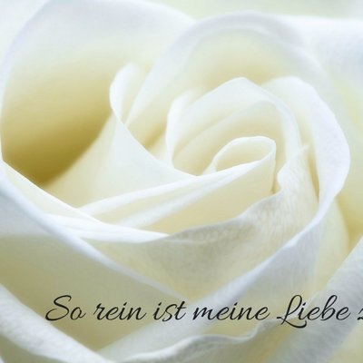 Bilder Von Lustige Tierbilder Guten Morgen Kostenlos Imagez