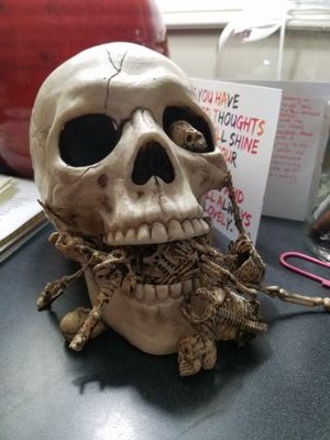 ChrisMNielson's profile picture. Publishing as C.M. Adler.