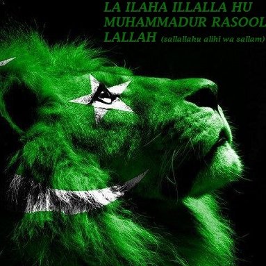 gul_e_muhammad's profile picture. Oracle Database Developer & Administrator