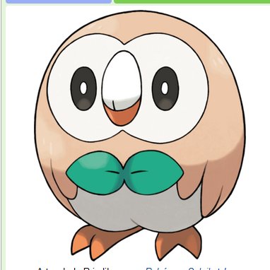 emmasteiner8's profile picture. 