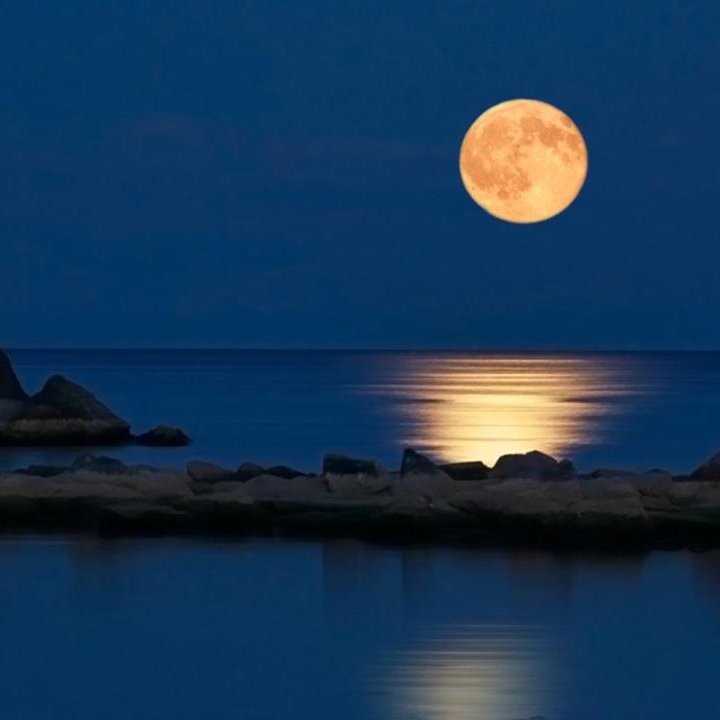 turabturabi33's profile picture. 