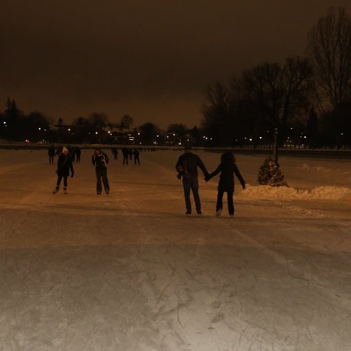 siegfri71424181's profile picture. 