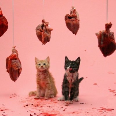 5iZyZsej3bMmLhF's profile picture. никому ненужненькая:(